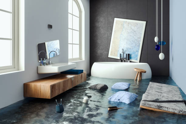 Water damage restoration mold remediation in NM