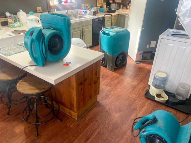 Best Flood damage cleanup  in Carrizozo, NM