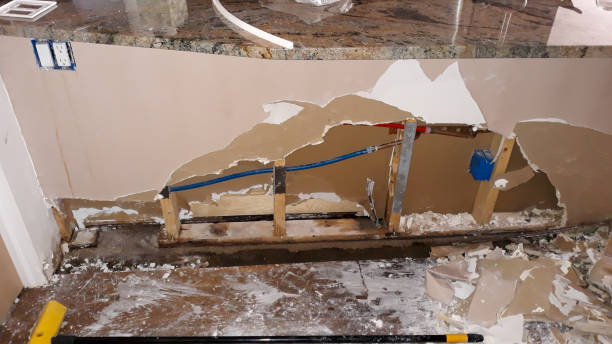Best Local water damage restoration  in Carrizozo, NM