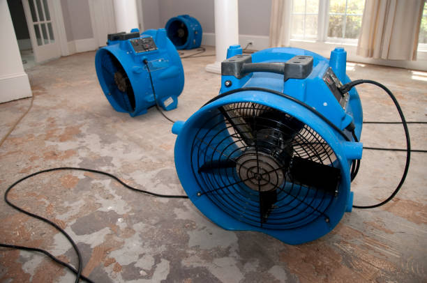 Best Basement water damage restoration  in Carrizozo, NM