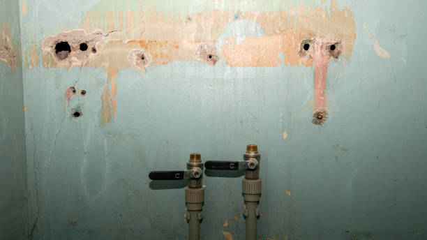 Water damage restoration mold remediation in NM